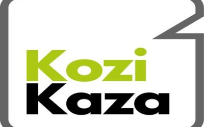 Notre avis sur Kozikaza, le logiciel d’architecture 3D