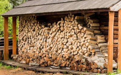 Comment sécher du bois de chauffage pour son poêle ?
