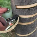 comment tuer un arbre