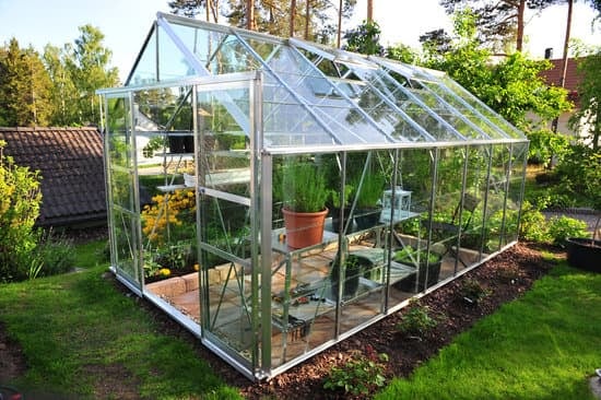 Choisir la bonne taille pour votre serre de jardin Brico Dépôt