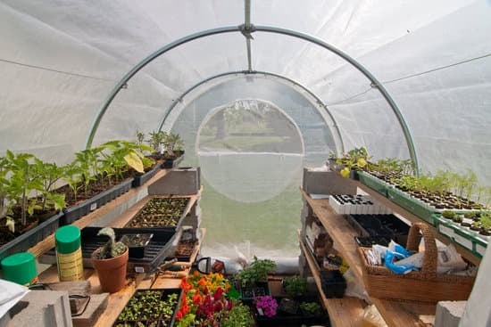 Serre de jardin Brico Dépôt qualité à prix abordable